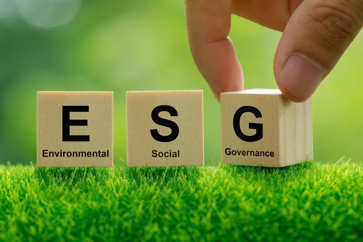 A hand moving wooden blocks with letters, E, S, and G on grass